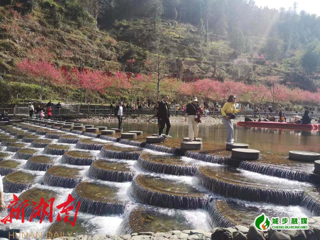 绝句-贺城步桃林首届桃花节_邵阳头条网